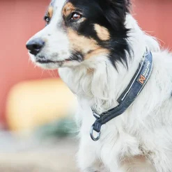 Non-stop Dogwear Cruise Collar Black