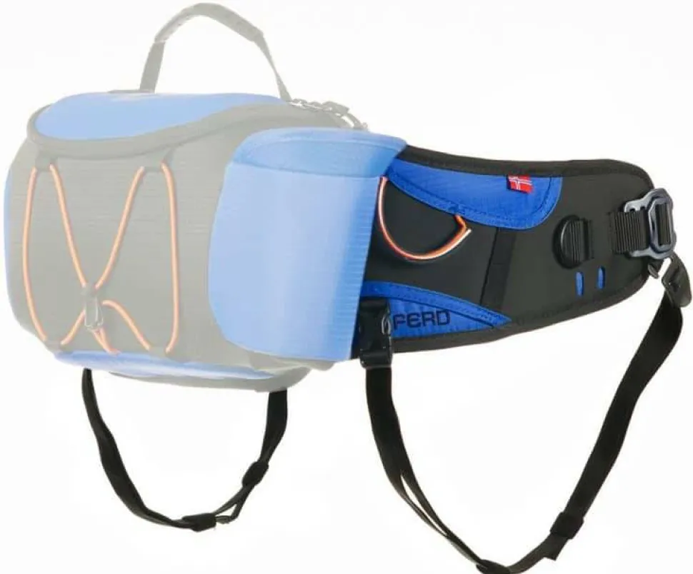 Non-stop Dogwear Ferd Belt Blue