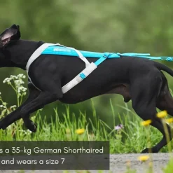 Non-stop Dogwear Freemotion Harness 5.0 Size 4 Blue/Grey