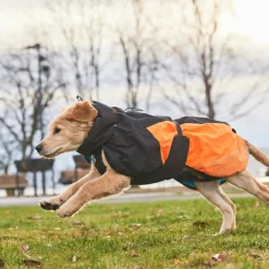 Non-stop Dogwear Glacier Dog Jacket 2.0 - Small Sizes Black/Orange