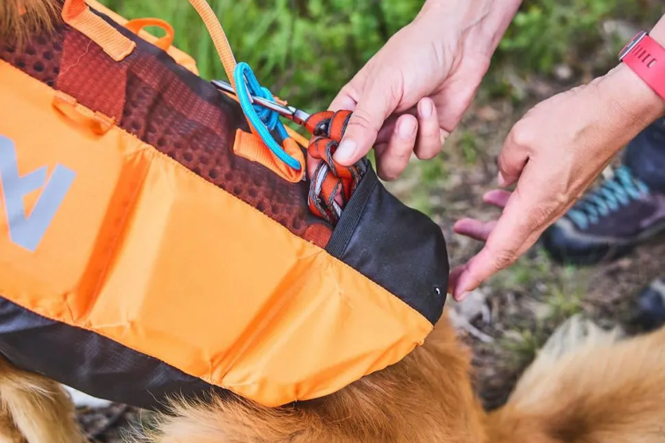 Non-stop Dogwear Protector Life Jacket Size 2-4 Black/Orange