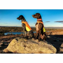 Non-stop Dogwear Protector Cover Orange