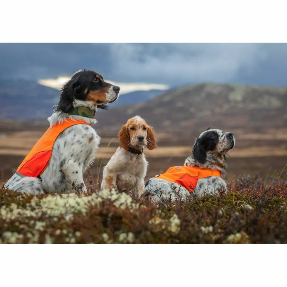Non-stop Dogwear Protector Cover Orange