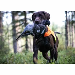 Non-stop Dogwear Protector Cover Orange