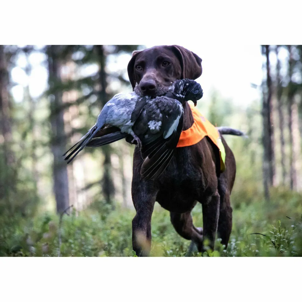 Non-stop Dogwear Protector Cover Orange