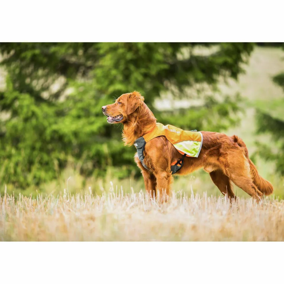 Non-stop Dogwear Protector Vest Orange