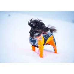 Non-stop Dogwear Protector Snow Female Orange/Black
