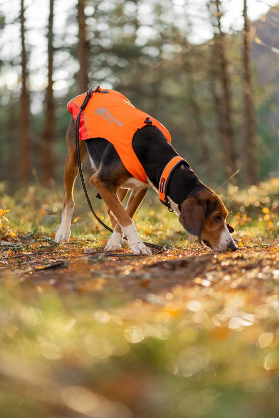 Non-stop Dogwear Protector Cover 2.0 Orange