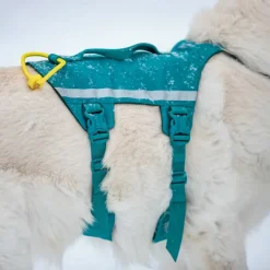 Non-stop Dogwear Ramble Harness Long Blue