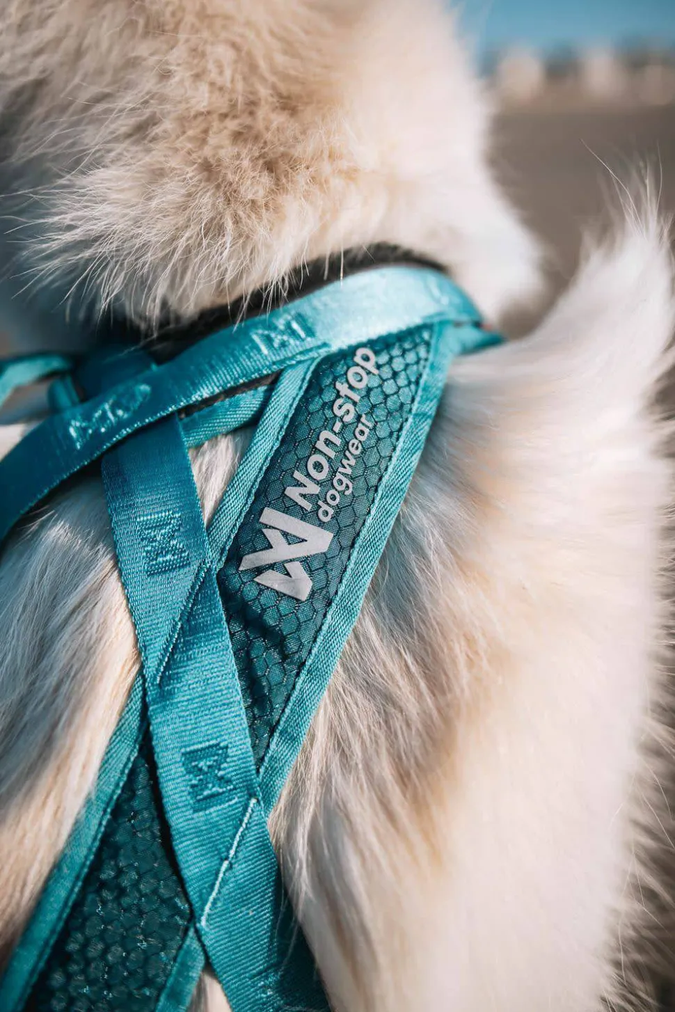 Non-stop Dogwear Rush Harness Teal