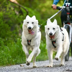 Non-stop Dogwear Touring Double, Wide Screw-Lock Grey