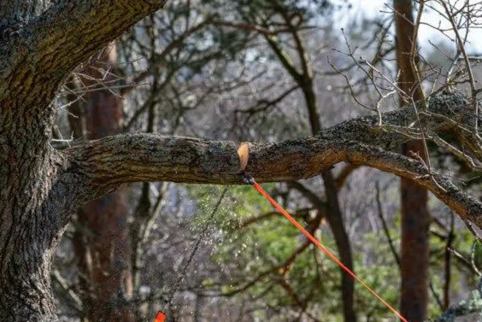 Nordic Pocket Saw Arborist 2 Orange/Black