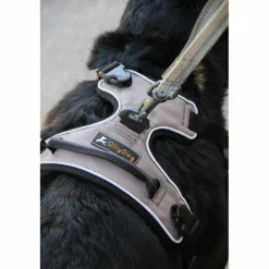 OllyDog Alpine Reflective Harness Flint