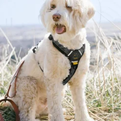 OllyDog Alpine Reflective Comfort Harness Dream Camo