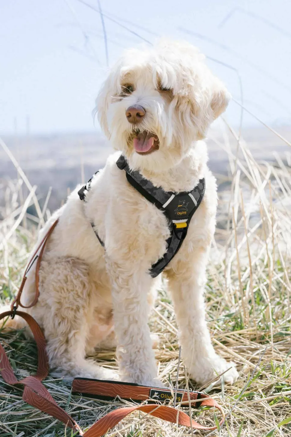 OllyDog Alpine Reflective Comfort Harness Dream Camo