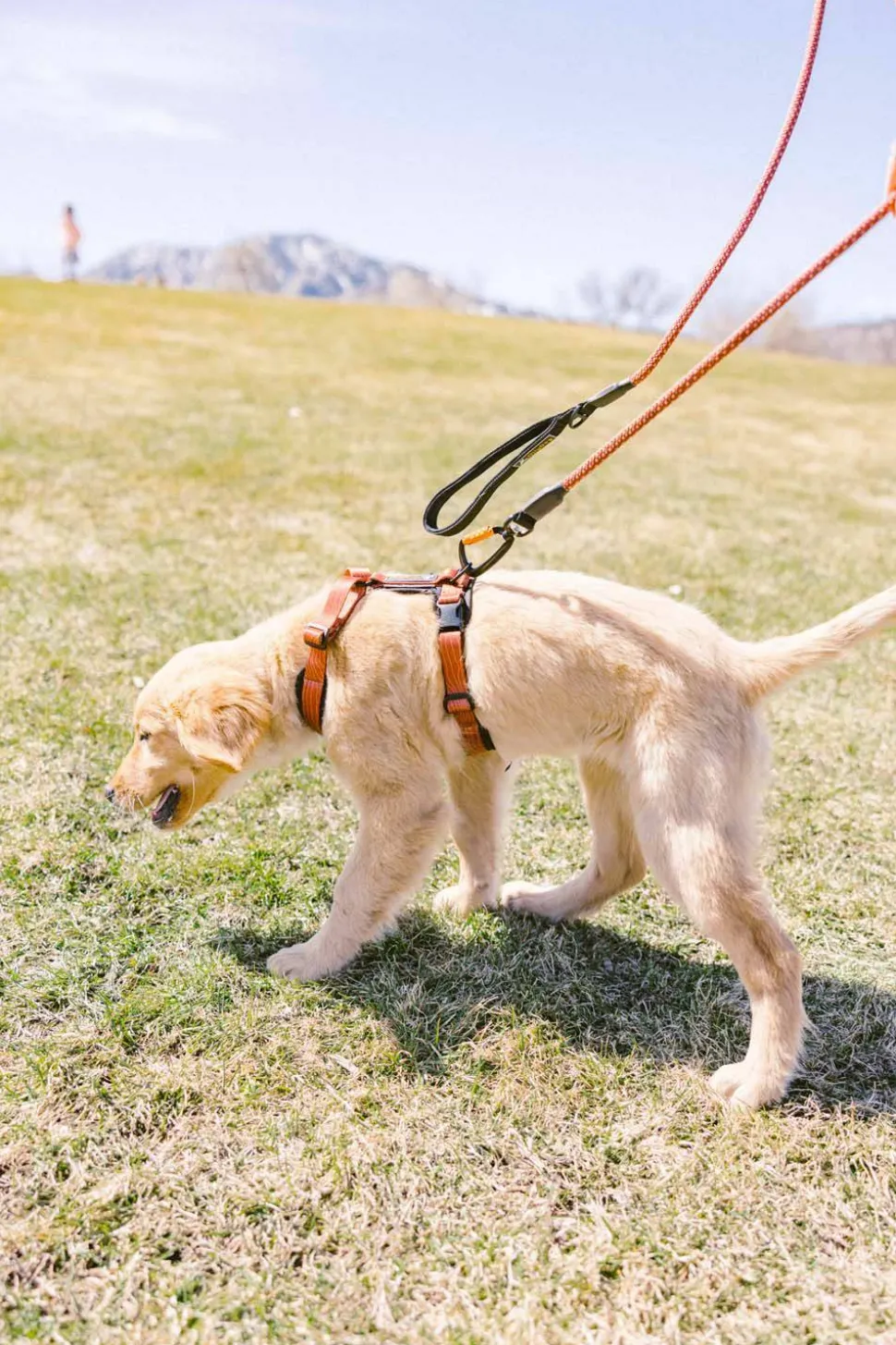 OllyDog Alpine Reflective Comfort Harness Clay
