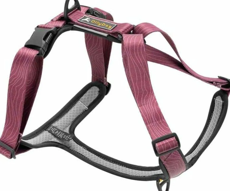 OllyDog Alpine Reflective Comfort Harness Rosewood
