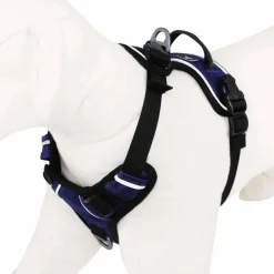 OllyDog Alpine Reflective Harness Atlantic
