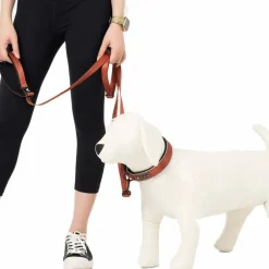 OllyDog Flagstaff Adjustable Leash Clay