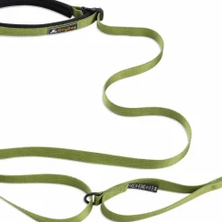 OllyDog Flagstaff Adjustable Leash Cactus