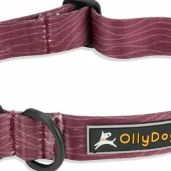 OllyDog Flagstaff Collar Rosewood