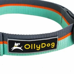 OllyDog Flagstaff Collar Surf