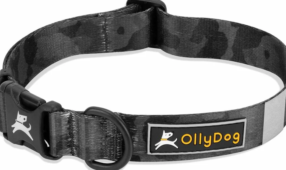 OllyDog Flagstaff Collar Dream Camo