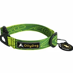 OllyDog Flagstaff Collar Sage Bark