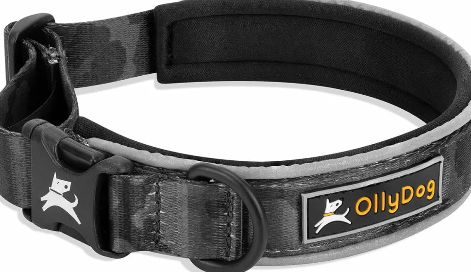OllyDog Flagstaff Reflective Comfort Collar Dream Camo