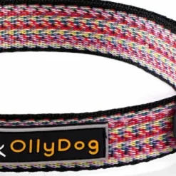 OllyDog Rescue Collar Prism Red