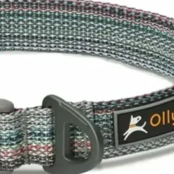 OllyDog Rescue Collar Prism Blue