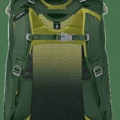 Osprey Kids' Ace 38 Green Canopy/Matcha Green