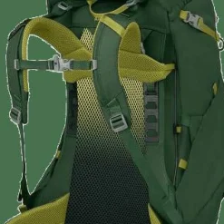 Osprey Kids' Ace 38 Green Canopy/Matcha Green