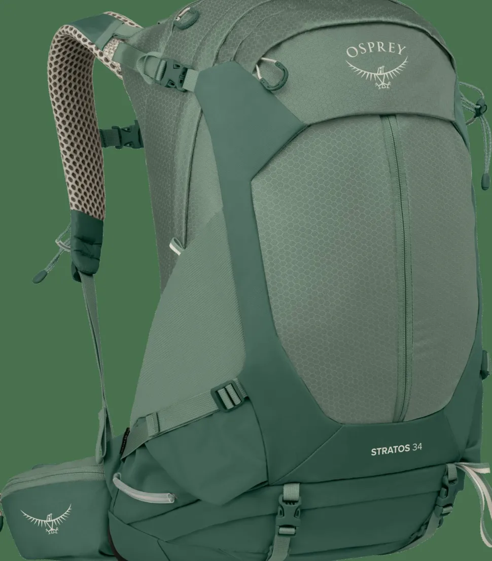 Osprey Men's Stratos 34 Pine Leaf Green
