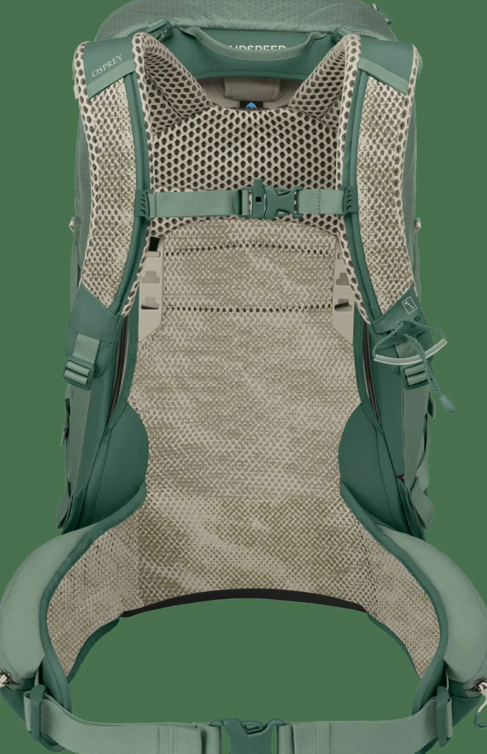 Osprey Men's Stratos 34 Pine Leaf Green