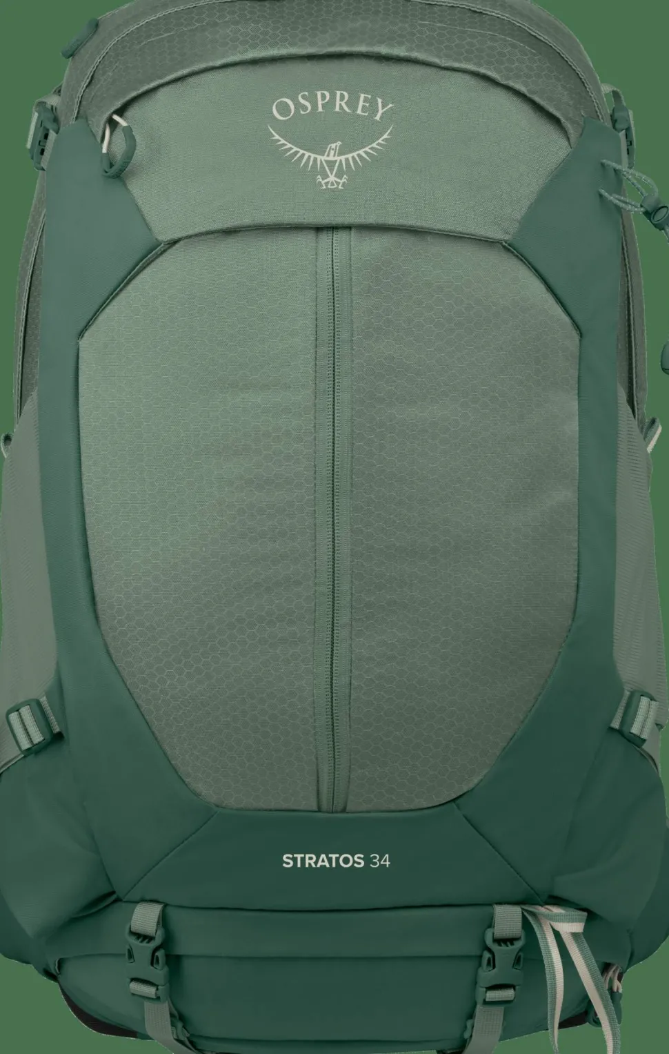 Osprey Men's Stratos 34 Pine Leaf Green