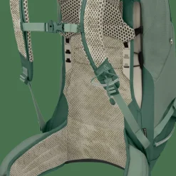 Osprey Men's Stratos 34 Pine Leaf Green