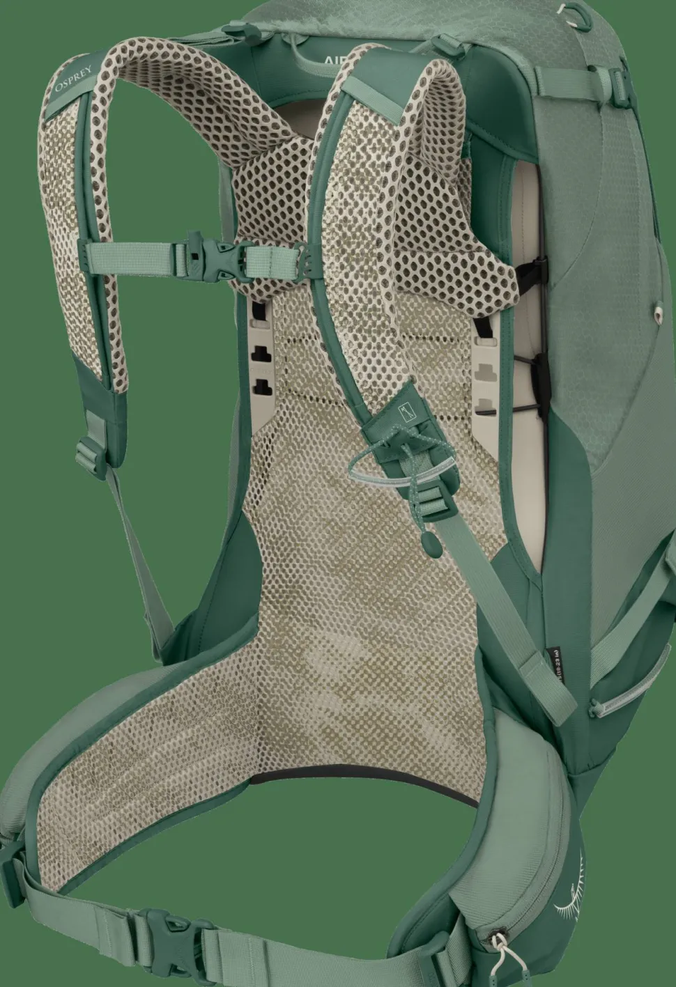 Osprey Men's Stratos 34 Pine Leaf Green
