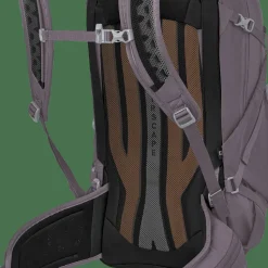 Osprey Sportlite 25 Graphite Purple