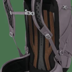 Osprey Sportlite 30 Graphite Purple