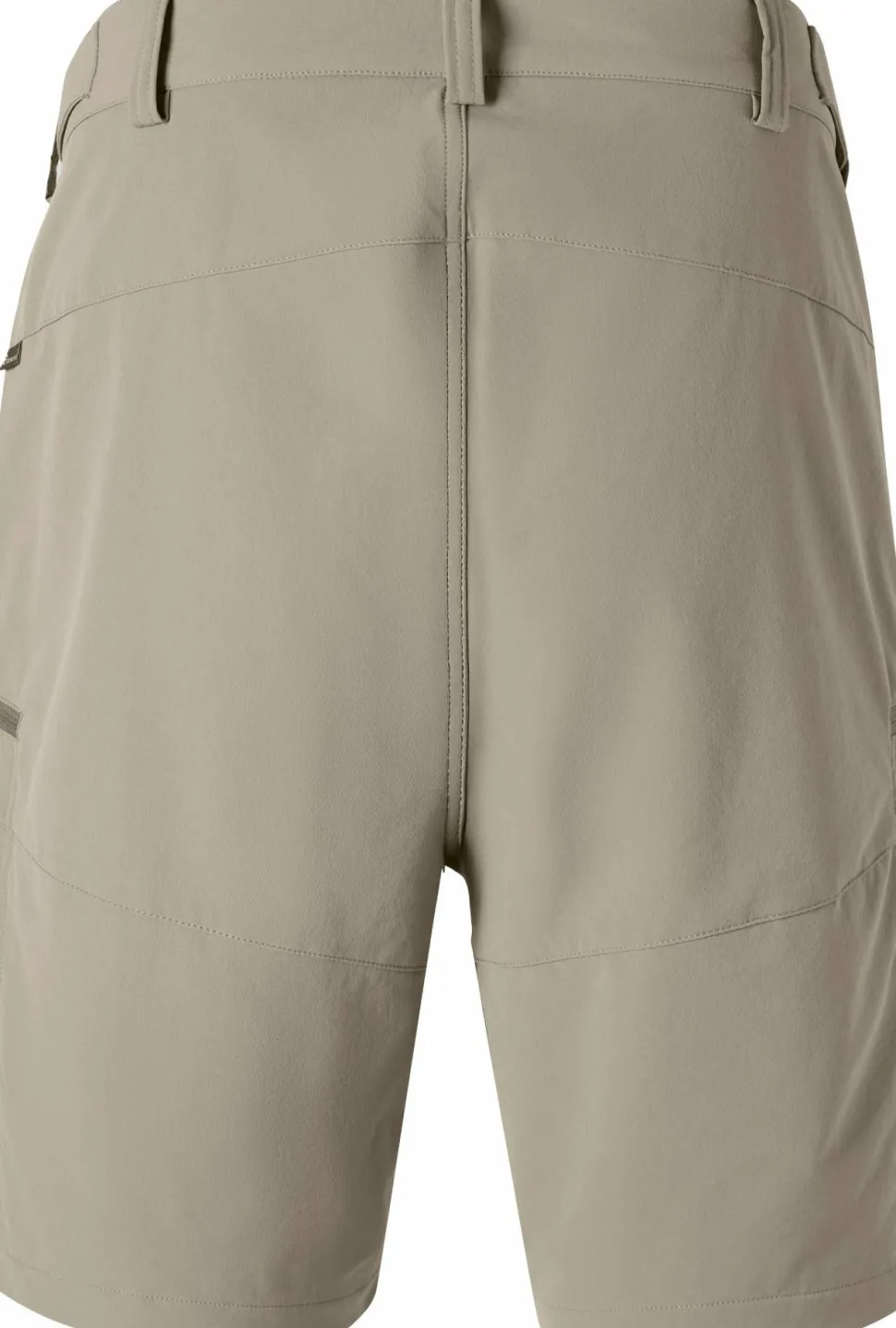 Pinewood Men's Abisko Light Stretch Shorts Mole Brown
