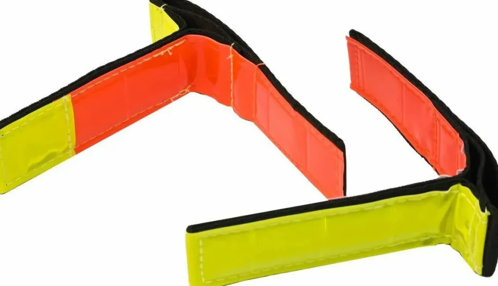 Rexa Rexa Reflective Tags 2-pack Multi