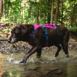 Ruffwear Flagline™ Harness Alpenglow Pink