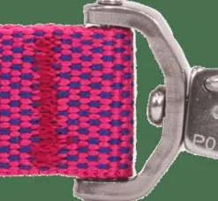 Ruffwear Flagline™ Leash Alpenglow Pink