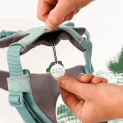 Ruffwear Front Range® Harness River Rock Green