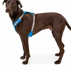 Ruffwear Hi & Light™ Harness Blue Dusk