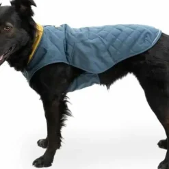 Ruffwear Stumptown Jacket Orion Blue