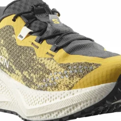 Salomon Men's Aero Glide 4 Grvl Beach Ball/Asphalt/Vanilla Ice