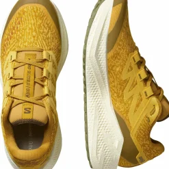 Salomon Men's Aero Glide 3 Grvl Spicy Mustard/vanilla Ice/deep Lich
