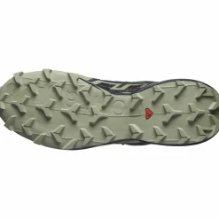 Salomon Men's Speedcross 6 GORE-TEX Grisaille / Carbon / Tea